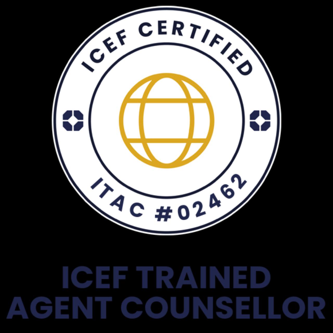 Сертифицированный консультант ICEF